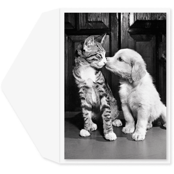 Anniversary Kisses - Greeting Card - Anniversary