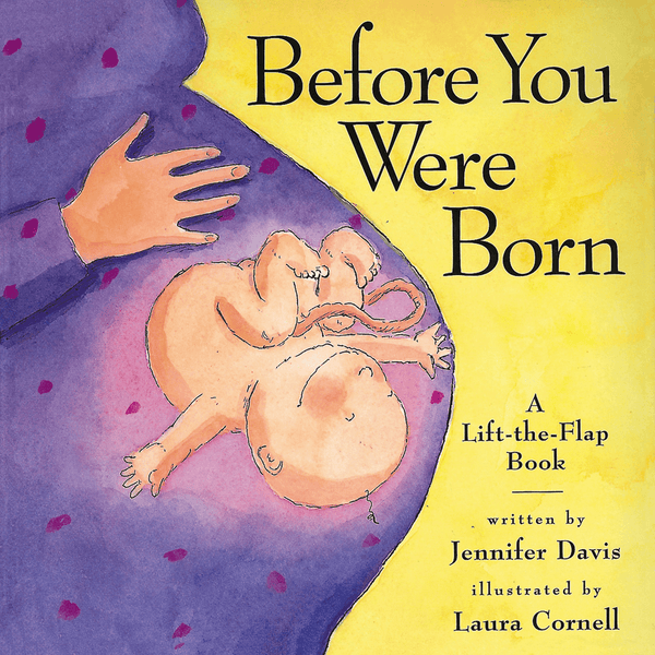 Before You Were Born - A Lift-The-Flap Book - Hardcover Book