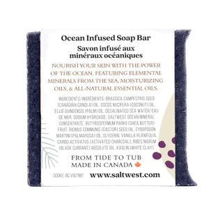 products/black-currant-vanilla-with-activated-charcoal-ocean-mineral-soap-963454.webp