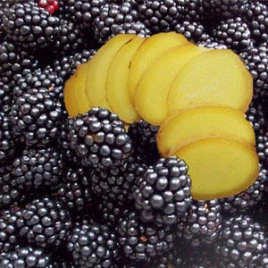 products/blackberry-ginger-balsamic-vinegar-673829.jpg