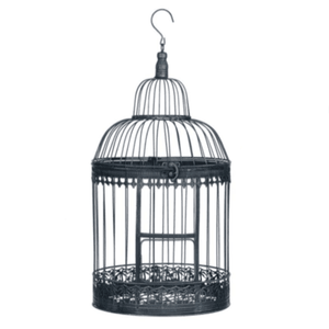 products/bronze-birdcage-407728.png