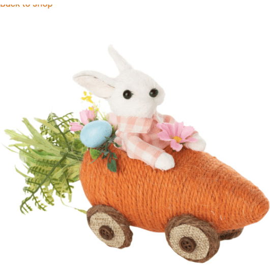 Bunny In Carrot Car
