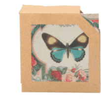 Butterflies Coasters - Set of 4