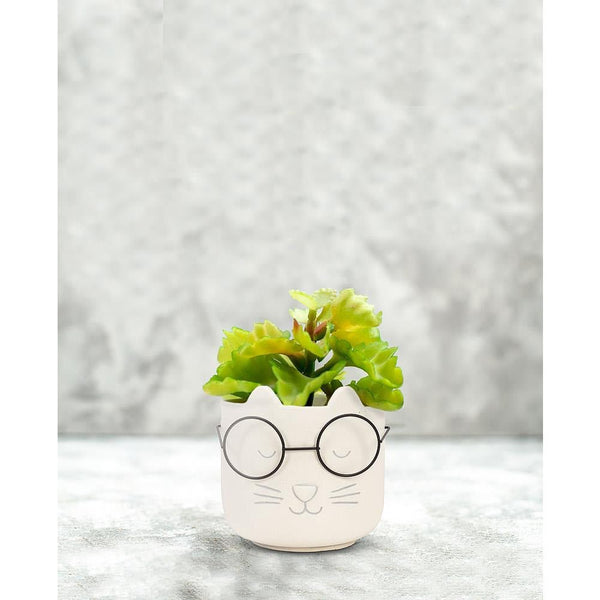 Cat Face Planter With Glasses