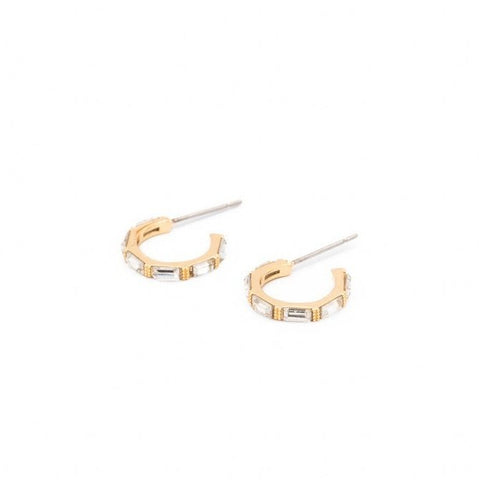 Charlotte Mini Hoop Earrings