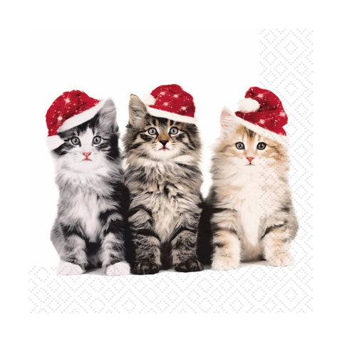 Christmas Cats - Paper Napkins