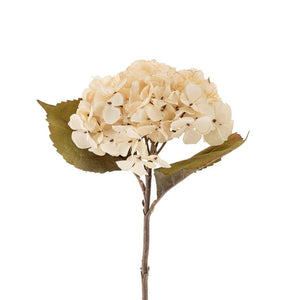 Cream Hydrangea Floral Stem