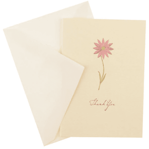 products/daisy-greeting-card-boxed-card-set-thank-you-893451.png