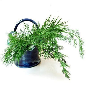 products/dill-olive-oil-536944.jpg