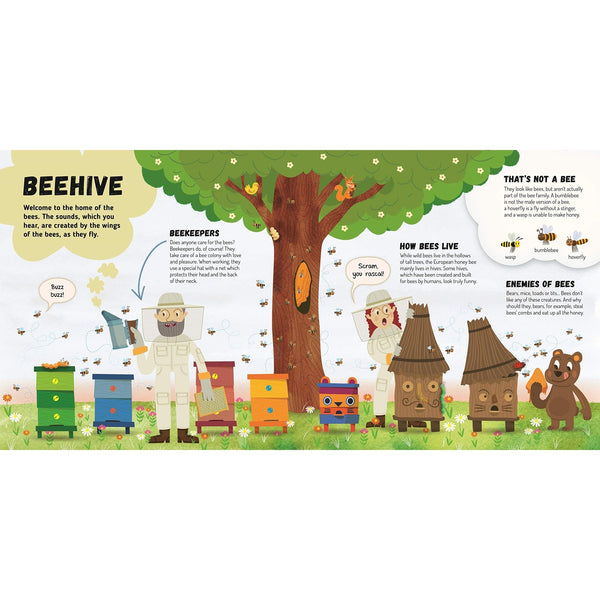 Discovering The Busy World Of The Beehive - Board Book