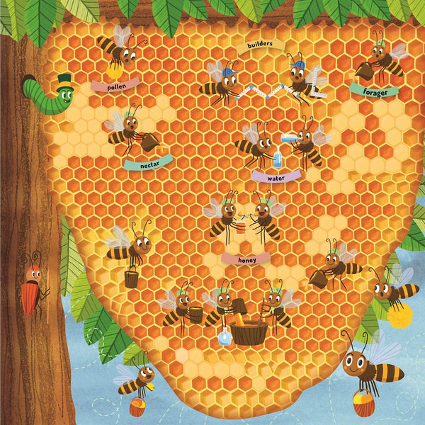 Discovering The Busy World Of The Beehive - Board Book