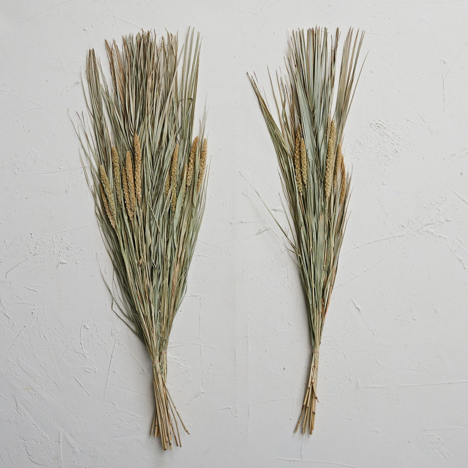 Dried Natural Canary Grass & Date Palm Bunch