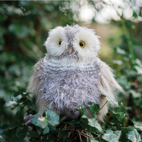 Elvis Owl