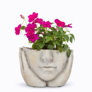 products/face-in-hands-planter-892712.jpg