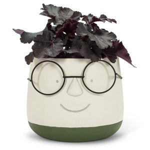 products/face-planter-with-glasses-2-sizes-available-540040.jpg