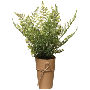 products/faux-fern-in-paper-wrapped-pot-294552.jpg