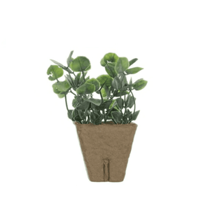 products/faux-plant-in-a-paper-pot-various-types-500851.png