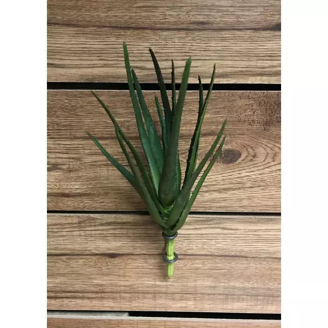 Fresh Touch Aloe Plant