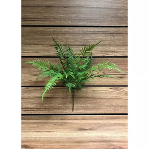 Fresh Touch Mixed Fern Bush