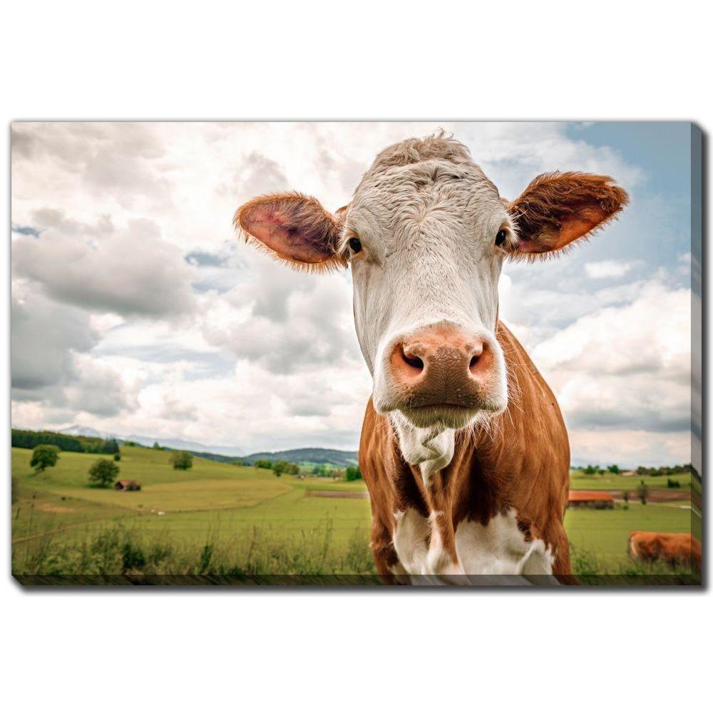 Funny Cow - Printed Canvas