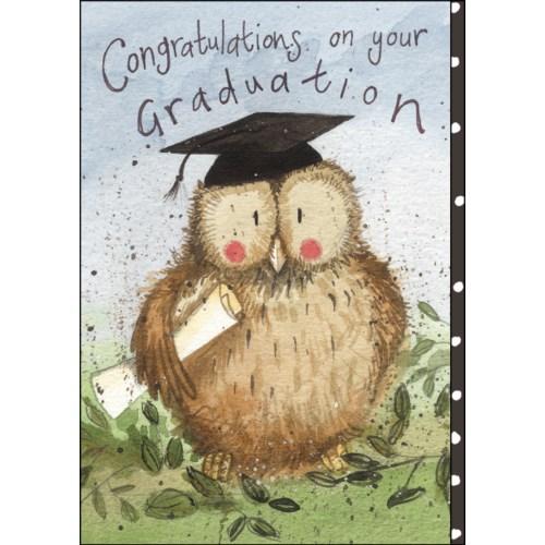 Graduation Owl - Greeting Card - Graduation