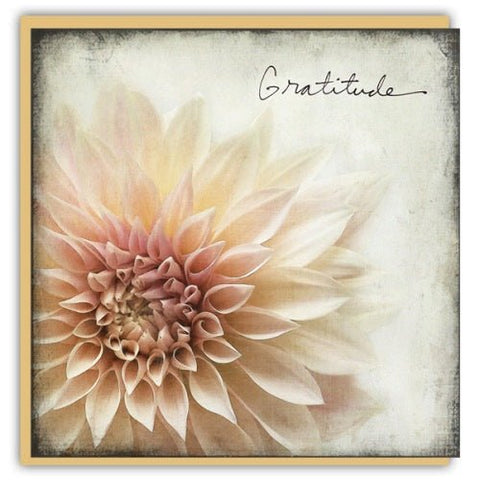 Gratitude - Greeting Card - Thank You
