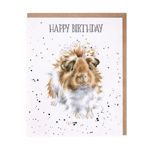 Guinea Pig Wishes - Greeting Card - Birthday