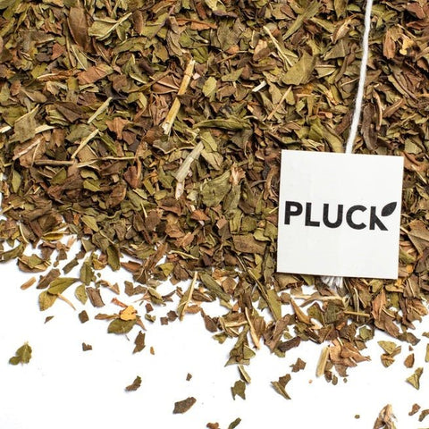 Harvest Mint Organic Loose Leaf 'Pluck' Tea