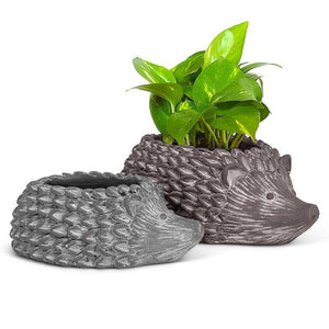products/hedgehog-planter-484743.jpg