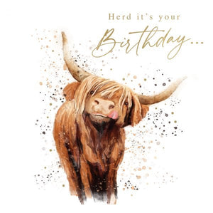 Highland Cow - Greeting Card - Birthday