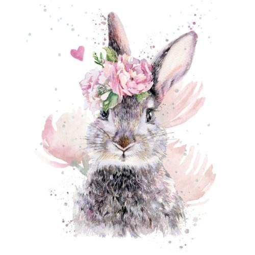 Honey Bunny - Enclosure Greeting Card - Blank