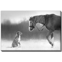 Horse & Retriever - Printed Canvas