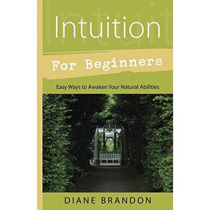 Intuition For Beginners - Paperback Book