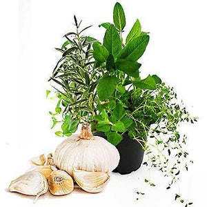 products/italian-herb-balsamic-vinegar-592909.jpg