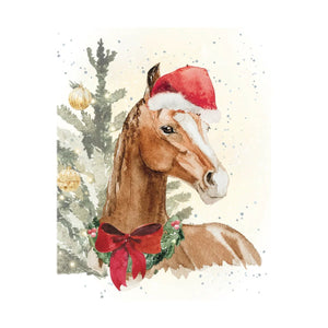 Joy & Wonder - Enclosure Greeting Card - Christmas