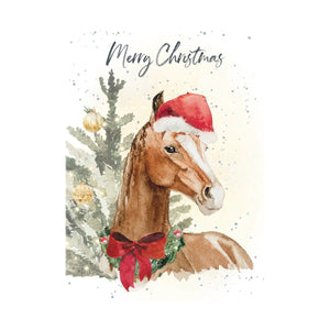 Joy & Wonder - Greeting Card - Christmas