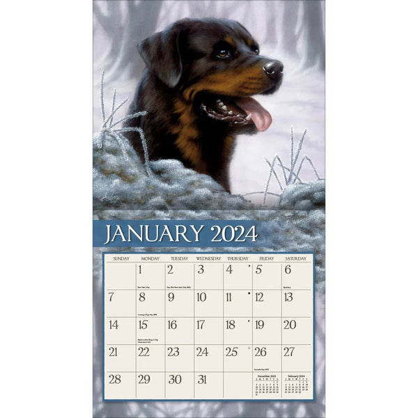 Love Of Dogs Calendar - 2024