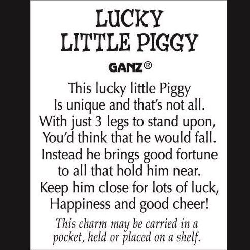 Lucky Little Piggy Charm