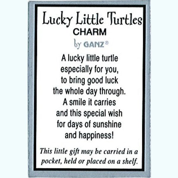 Lucky Little Turtle Charm