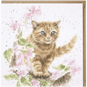The Marmalade Cat - Greeting Card - Blank