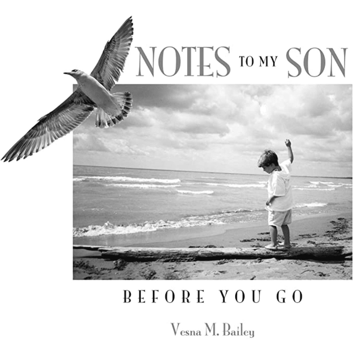 Notes To My Son Before You Go - Hardcover Book