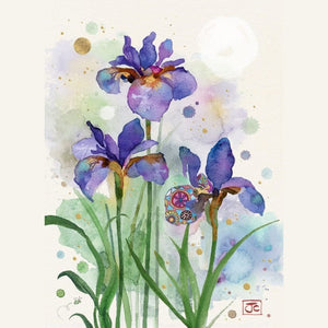 Purple Irises - Greeting Card - Blank
