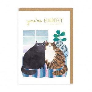 Purrfect Cats - Greeting Card - Birthday
