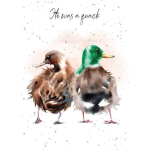 Quack - Greeting Card - Divorce