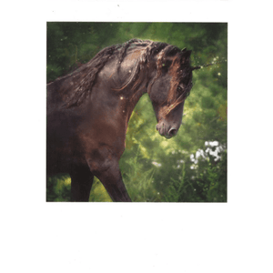 Run Free - Greeting Card - Birthday