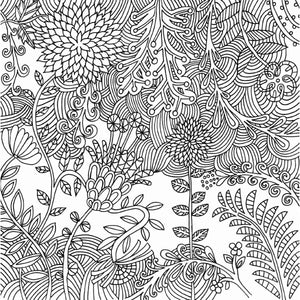 products/serenity-artists-colouring-book-613732.webp