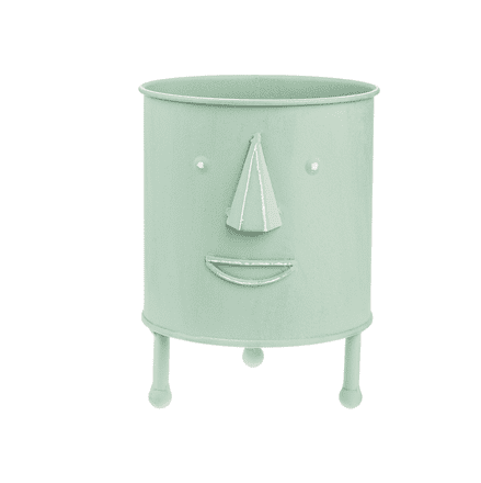 Shades Of Sage Mini Planter With Face
