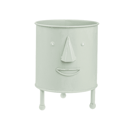 Shades Of Sage Mini Planter With Face