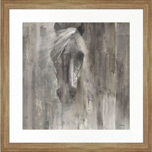 Shadow Light - Framed Print