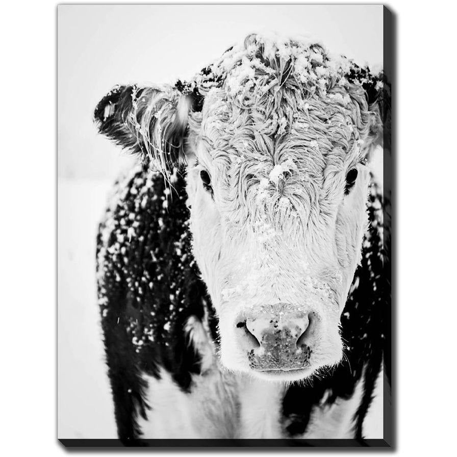 Snowy Cow - Printed Canvas